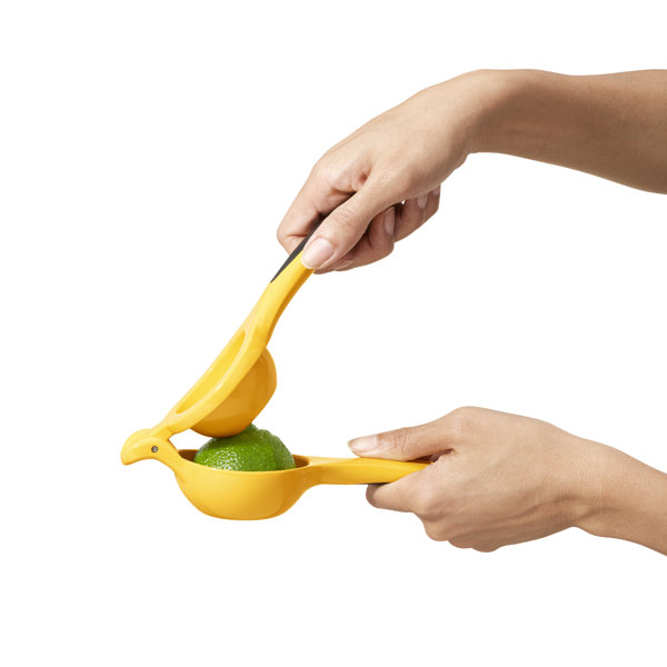 OXO Good Grips Citrus Squeezer & Reviews Wayfair